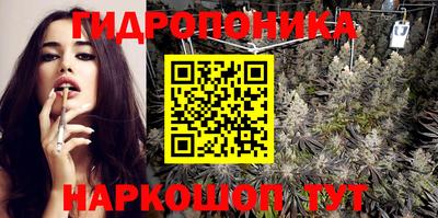 твердый Новокубанск