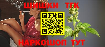 шишки Новодвинск