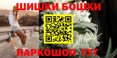 шишки Новодвинск