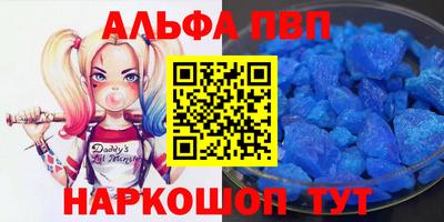 шишки Новодвинск