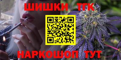шишки Новодвинск