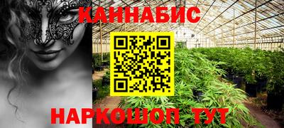 шишки Новодвинск