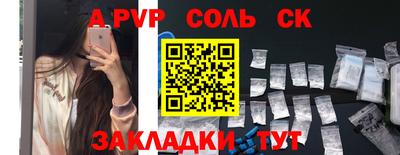 шишки Новодвинск