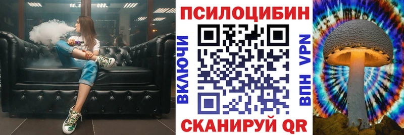 Галлюциногенные грибы Cubensis  Советская Гавань 