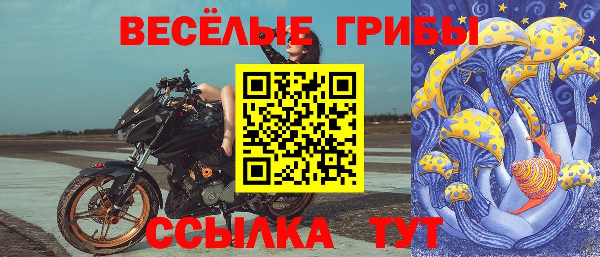 Псилоцибиновые грибы MAGIC MUSHROOMS  Вход с VPN  Псилоцибиновые грибы Cubensis  Советская Гавань 